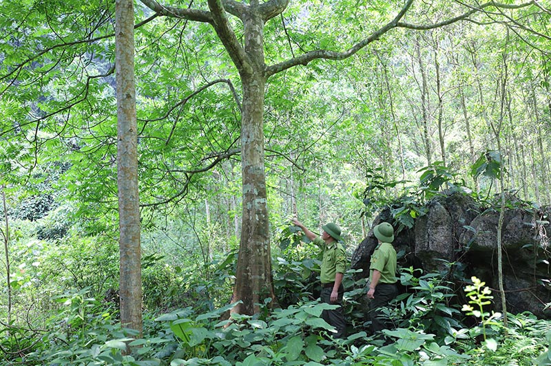 Lực lượng Kiểm lâm huyện Minh Hóa tuần tra rừng trong mùa nắng gắt năm 2023.