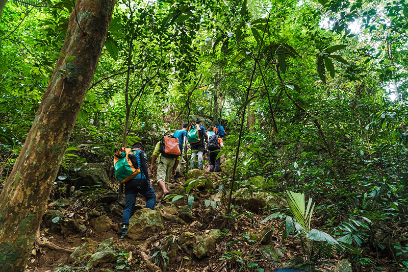 Cùng trẻ tham gia tour gia đình trải nghiệm Tú Làn 1 ngày. (Ảnh: Oxalis Adventure).