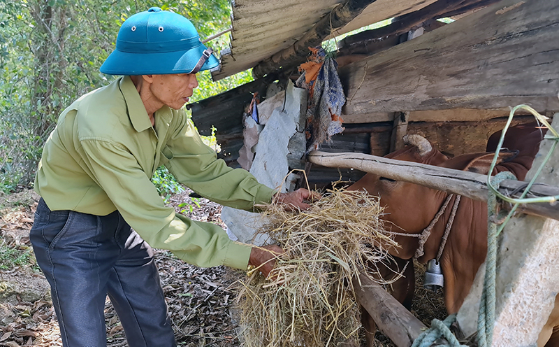 Mô hình trang trại tổng hợp đem lại thu nhập ổn định cho gia đình ông Nguyễn Văn Lỏng.