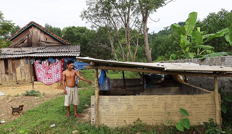 Sau thời gian dài chờ đợi, hộ ông Đinh Ngọc Lan, Trưởng thôn Phú Nhiêu đã quyết định tự bỏ tiền mua lợn giống về nuôi.