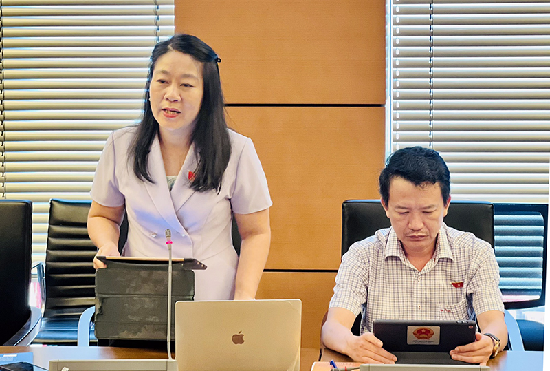 Đại biểu Nguyễn Thị Tuyết Nga thảo luận về 2 dự án luật