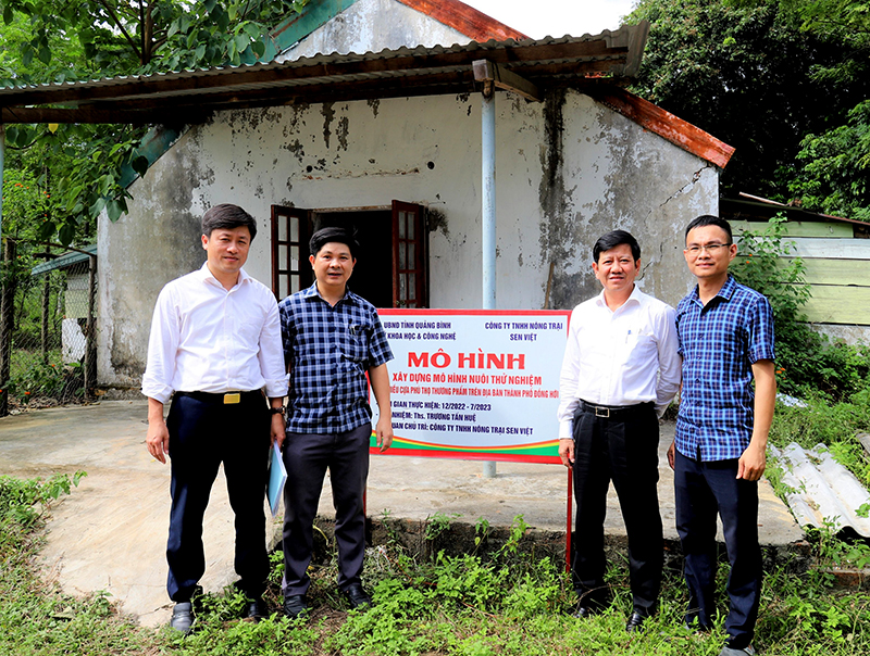 Đoàn công tác của Sở KH- CN kiểm tra mô hình nuôi thử nghiệm gà nhiều cựa Phú Thọ thương phẩm.