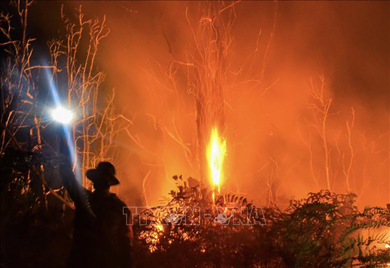 Nhân viên cứu hỏa nỗ lực khống chế các đám cháy rừng ở Pekanbaru, tỉnh Riau, Indonesia. Ảnh tư liệu: AFP/TTXVN