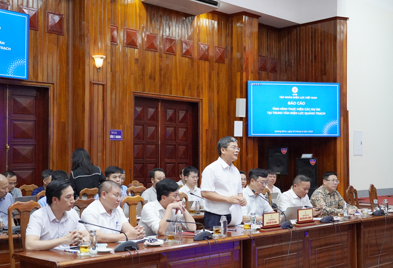 Ông Nguyễn Tài Anh, Phó Tổng Giám đốc EVN phát biểu tại cuộc họp.