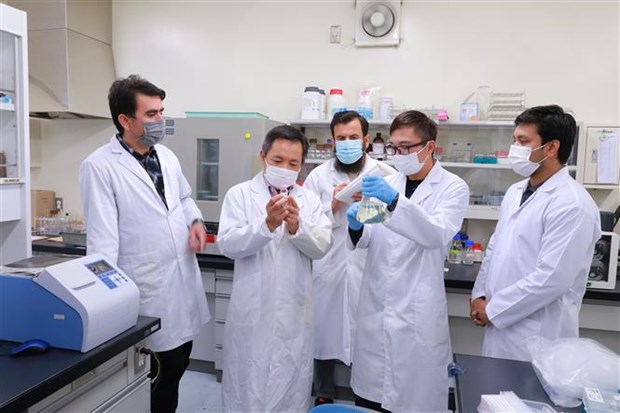 Giáo sư, Tiến sỹ Trần Đăng Xuân (thứ hai, trái) và Tiến sỹ Nguyễn Văn Quân (thứ hai, phải) trao đổi với các nghiên cứu sinh tại Đại học Hiroshima về hợp chất momilactones A và B. (Ảnh: Đức Thịnh/TTXVN)