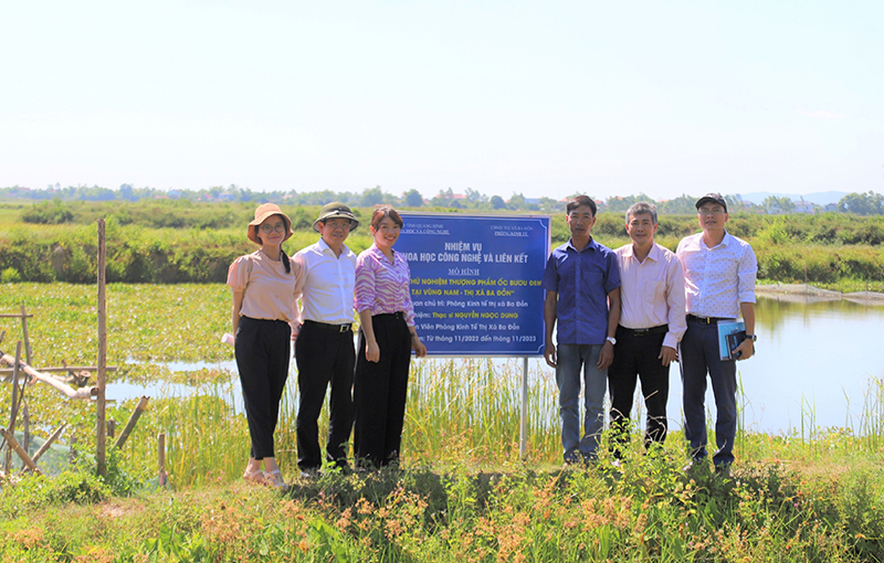 Địa điểm thực hiện nhiệm vụ KH-CN liên kết “Nuôi thử nghiệm thương phẩm giống ốc bươu đen tại xã Quảng Tiên, thị xã Ba Đồn”.