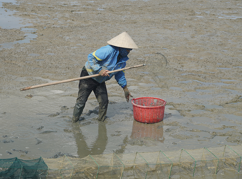 Chị Phan Thị Lòng (xã Đồng Trạch, Bố Trạch) vệ sinh hồ nuôi, chuẩn bị cho vụ mới.