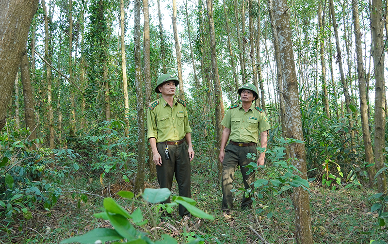 Lực lượng Kiểm lâm huyện Lệ Thủy tuần tra PCCCR trong mùa khô.