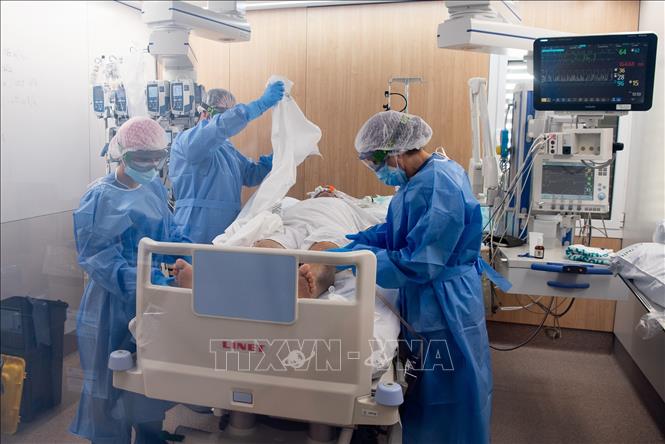 Ảnh tư liệu (minh họa): TTXVN