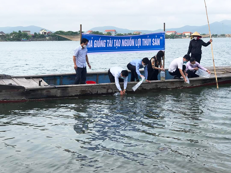 Hàng năm, các đơn vị, địa phương tổ chức thả giống tái tạo nguồn lợi thủy sản.