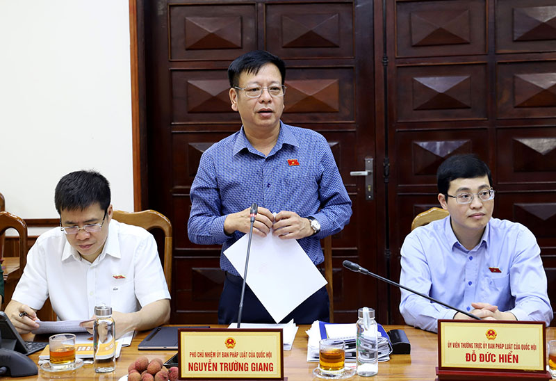 Đồng chí Nguyễn Trường Giang, Phó Chủ nhiệm UBPL của Quốc hội phát biểu tại buổi làm việc 