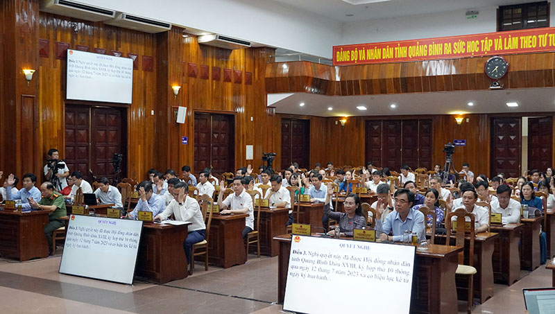 Đại biểu biểu quyết thông qua các nghị quyết
