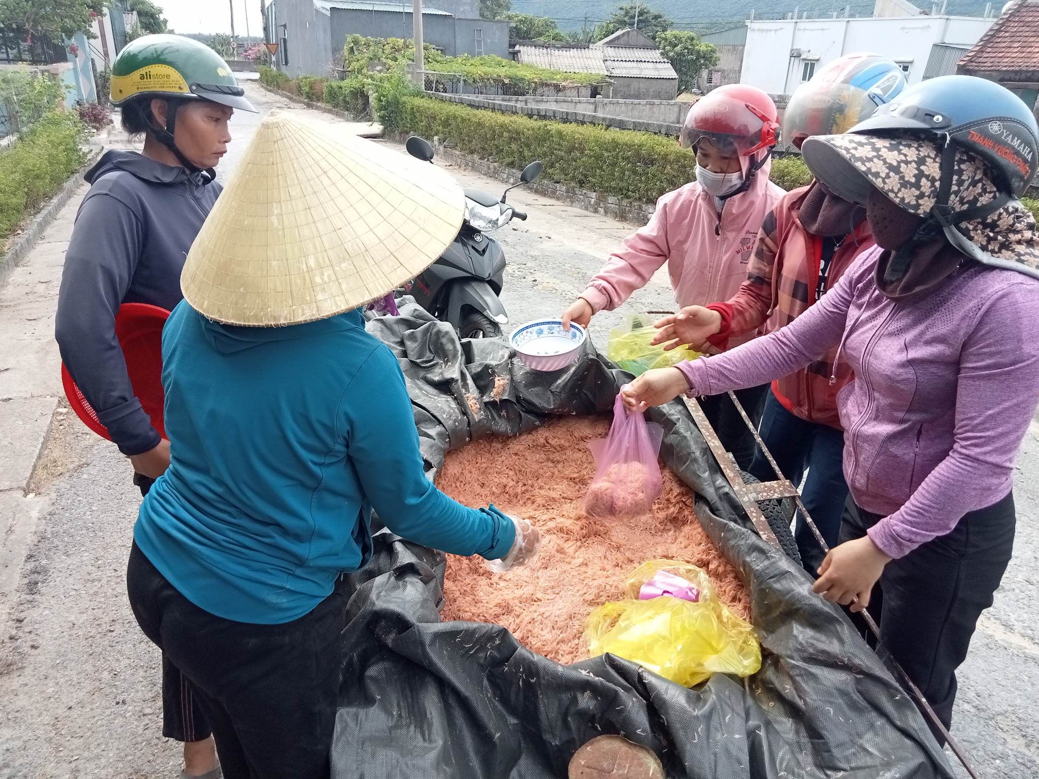 Đưa lên xe đi tiêu thụ.