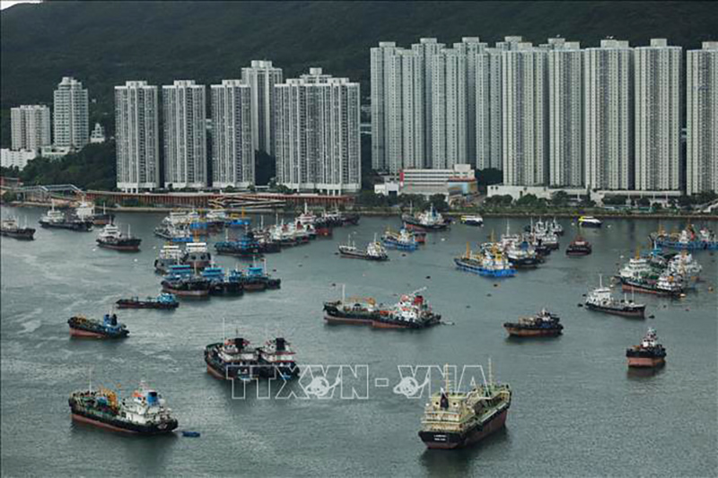 Tàu thuyền neo đậu tránh bão Talim tại Hong Kong, Trung Quốc ngày 16/7/2023. Ảnh: AFP/TTXVN