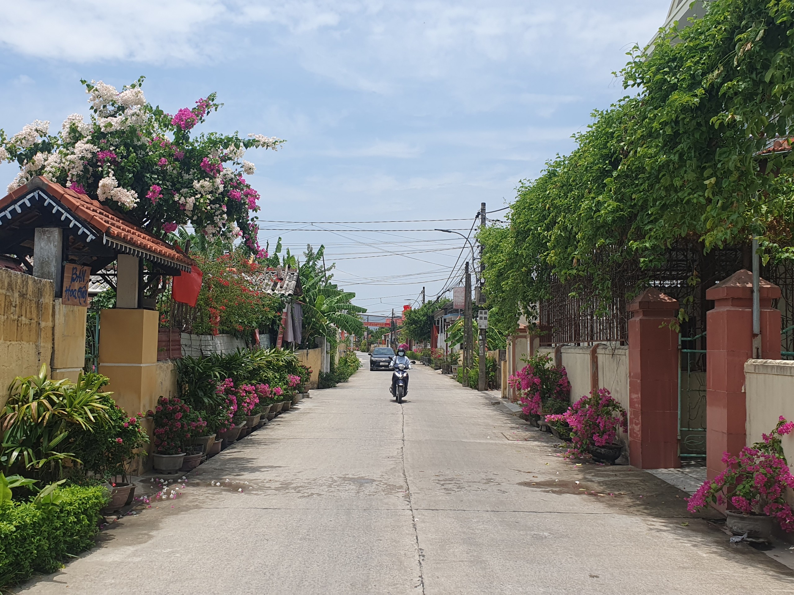  Khu dân cư Phan Xá, xã Xuân Thủy vừa được UBND huyện Lệ Thủy công nhận khu dân cư NTM kiểu mẫu.
