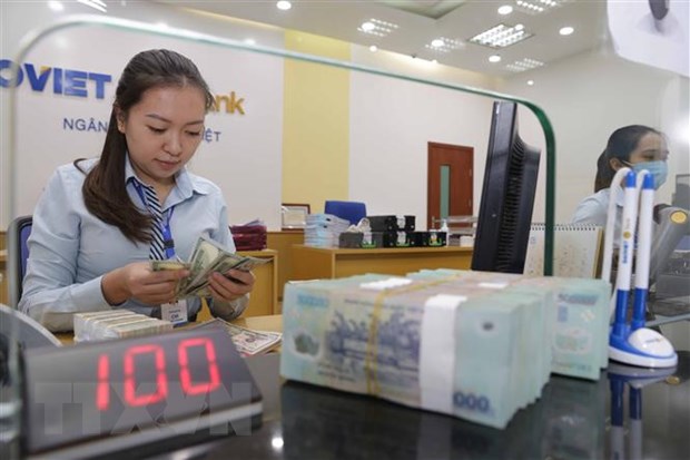Chính phủ quy định dùng đồng Việt Nam mua tiền của nước có chung biên giới của cá nhân bằng tiền mặt. (Ảnh minh họa: Trần Việt/TTXVN)