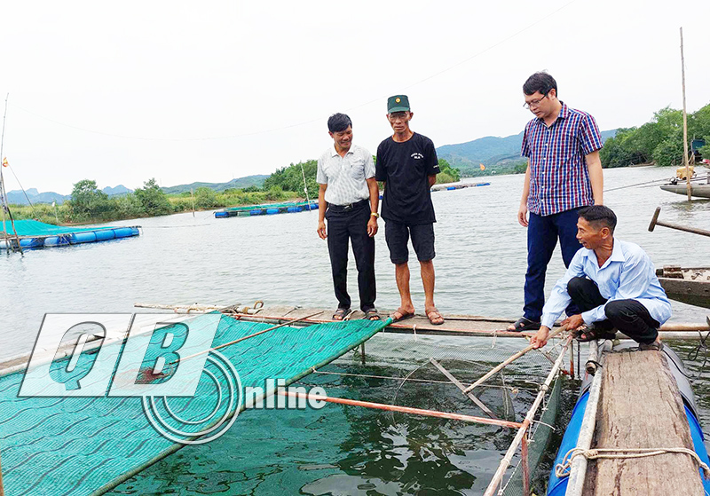 Nhiều hộ nuôi cá dìa trên sông bị thiệt hại nặng nề.