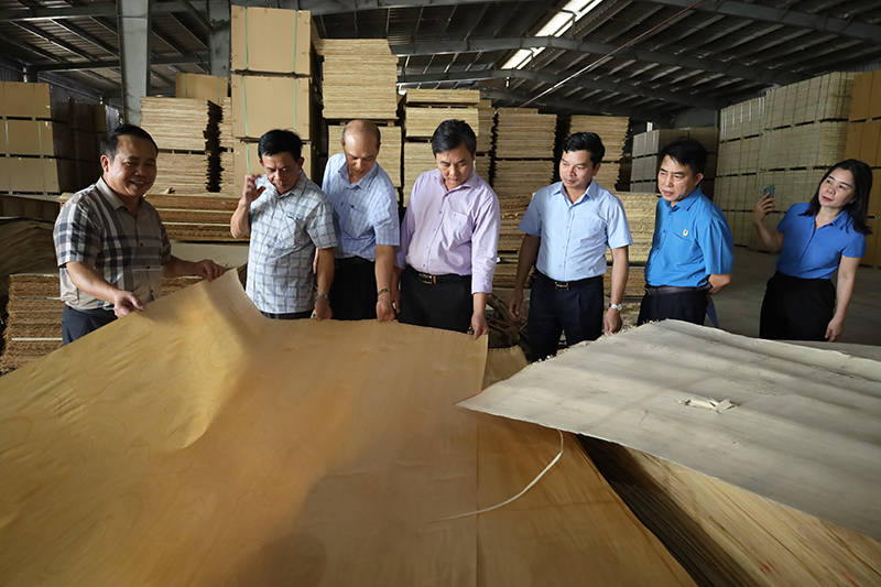 Các đại biểu tham quan phân xưởng sản xuất của Nhà máy Ván ép Thăng Long.