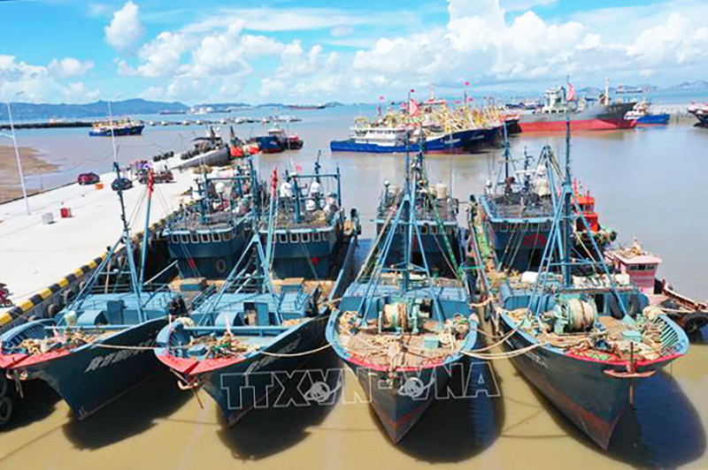 Các tàu cá tránh trú bão tại cảng ở Yuhuan, tỉnh Chiết Giang, Trung Quốc ngày 25/7/2023. Ảnh: THX/TTXVN