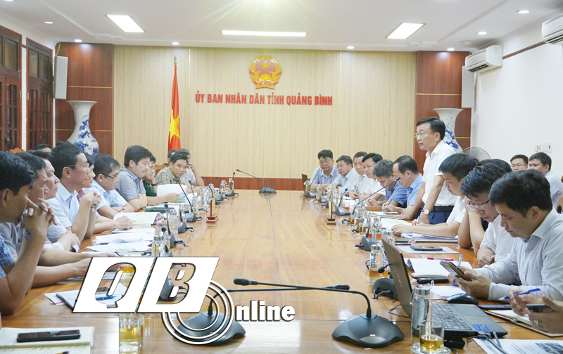 Thứ trưởng Bộ GTVT Nguyễn Danh Huy phát biểu tại buổi làm việc.