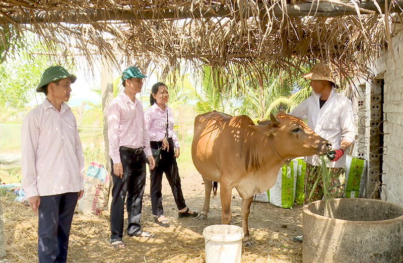 Trên 12.000 lượt khách hàng được tiếp cận nguồn vốn tín dụng chính sách để phát triển kinh tế, bảo đảm an sinh xã hội.