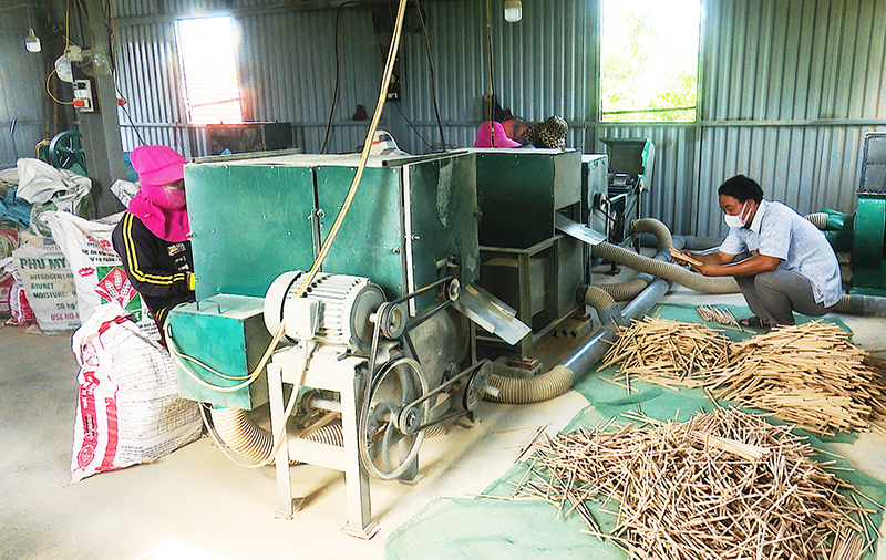 HTX Sản xuất đũa gỗ Quảng Thủy với doanh thu 7 tỷ đồng/năm, giải quyết việc làm cho hàng chục lao động địa phương.