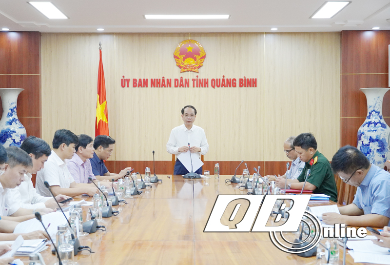  Đồng chí Phó Chủ tịch UBND tỉnh Phan Mạnh Hùng phát biểu chỉ đạo tại cuộc họp.