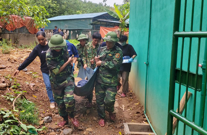 Các nhân viên khiêng hổ về phòng thú ý sau quá trình gây mê.