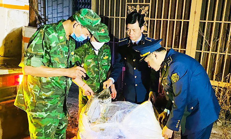  Lực lượng chức năng tỉnh Quảng Trị kịp thời ngăn chặn 1,7 tấn lòng lợn đã bốc mùi hôi thối đang trên đường tiêu thụ