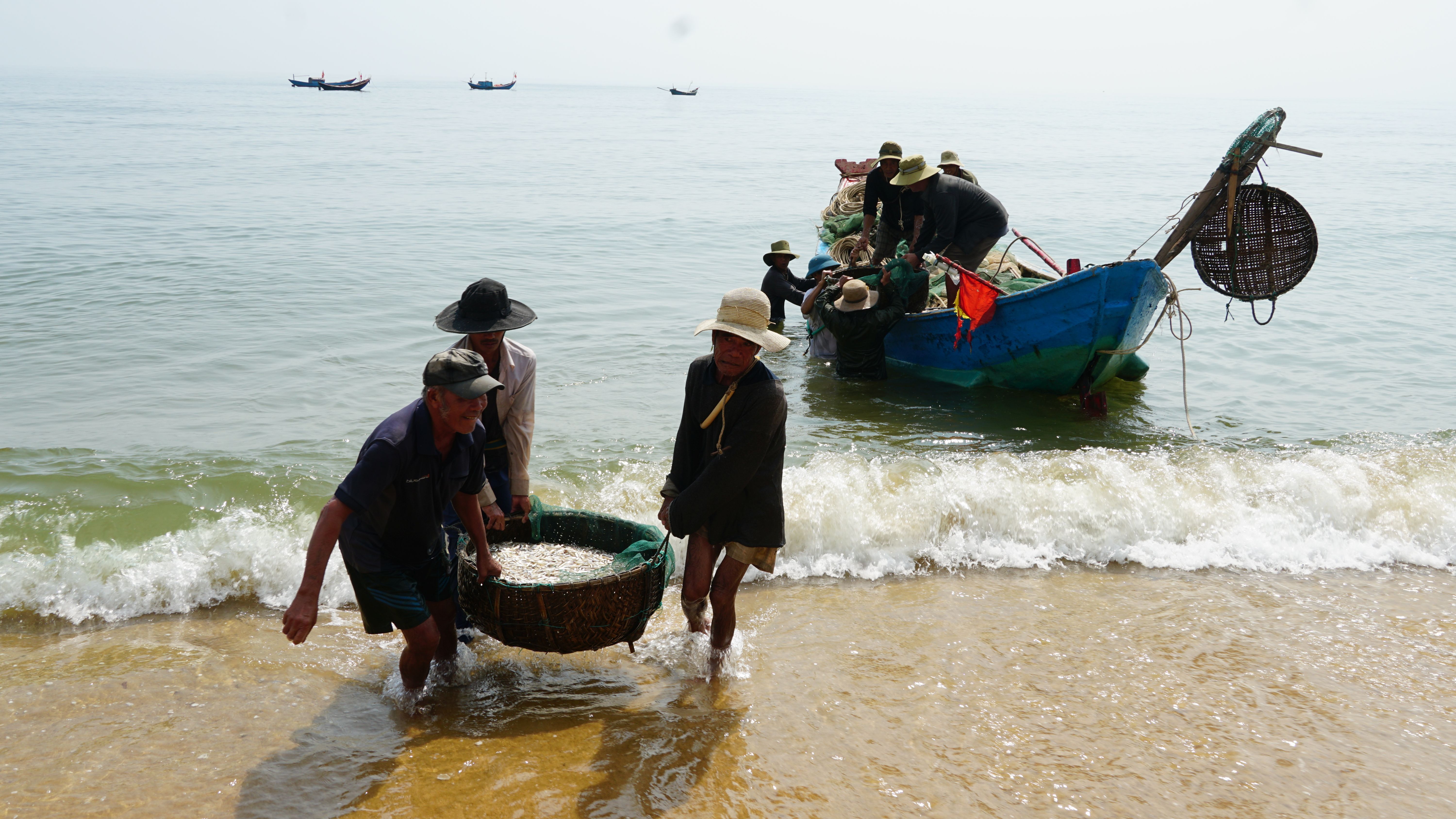 Ngư dân phấn khởi đưa cá lên bờ.
