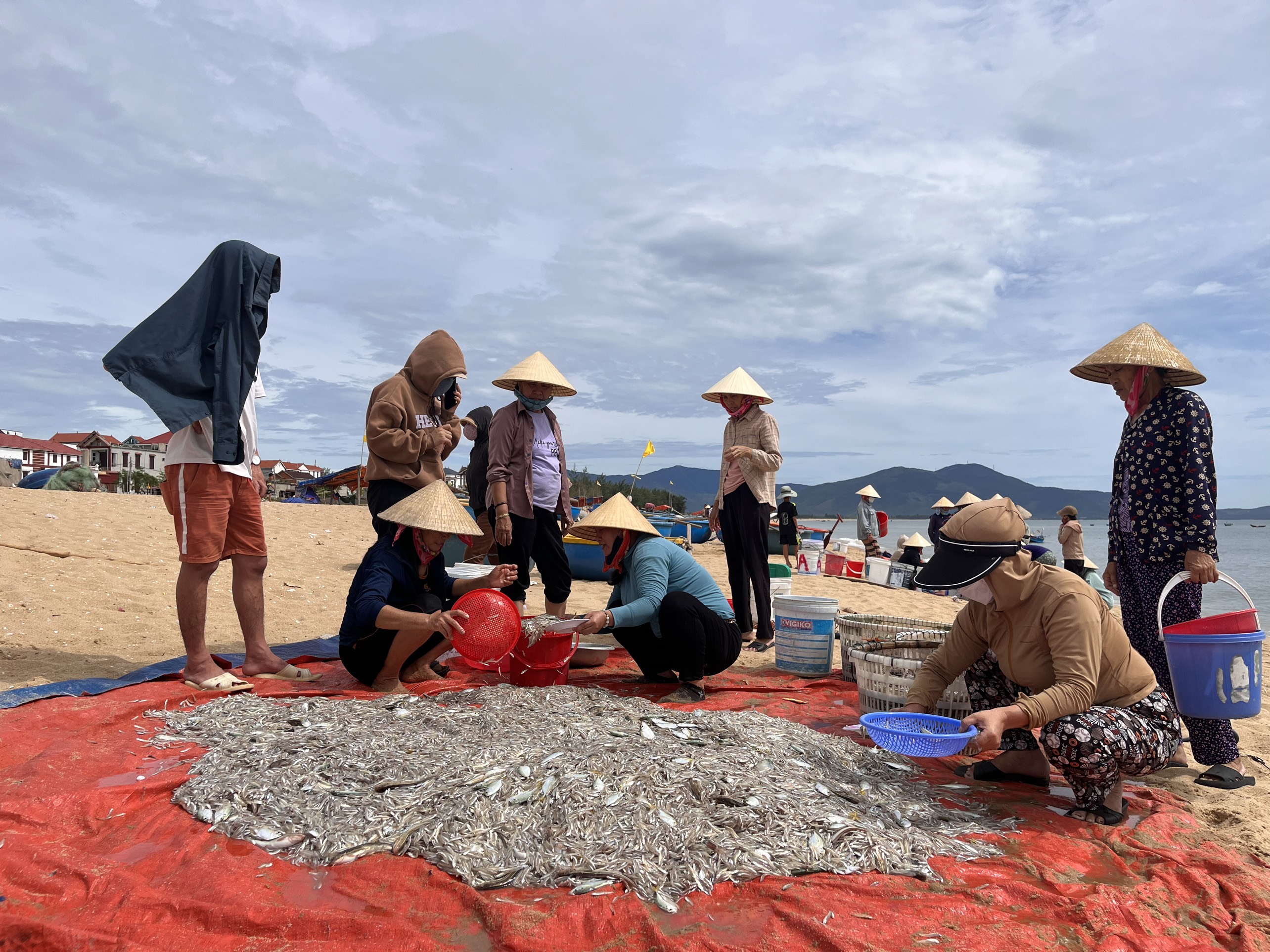 Những người phụ nữ sẽ tiến hành chia cá cho các thuyền viên và mang đi tiêu thụ.