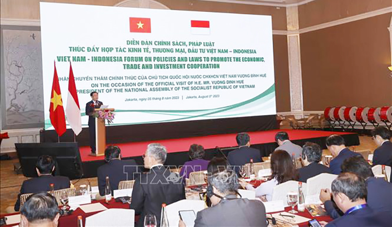  Chủ tịch Quốc hội Vương Đình Huệ phát biểu. Ảnh: Doãn Tấn/TTXVN