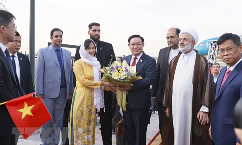 Cộng đồng người Việt đón Chủ tịch Quốc hội Vương Đình Huệ tại Sân bay Mehrabad, thủ đô Tehran. (Ảnh: Doãn Tấn/TTXVN)