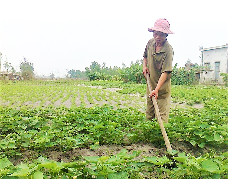 Mô hình kinh tế tổng hợp của anh Võ Văn Bế ở xã Quảng Xuân (Quảng Trạch).