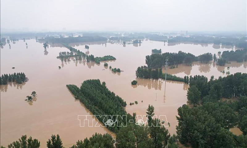  Lũ lụt do mưa lớn phá hủy mùa màng ở thành phố Bảo Định, tỉnh Hà Bắc, Trung Quốc ngày 2/8/2023. Ảnh: AFP/TTXVN