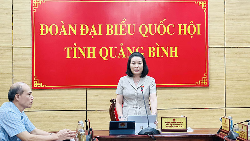 Đại biểu Nguyễn Minh Tâm chất vấn Bộ trưởng Bộ Tư pháp