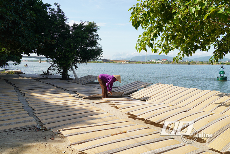 Lợi thế vị trí địa lý bên sông đã tạo nên nét đẹp cho làng nghề chế biến bún, bánh mè xát Tân An.