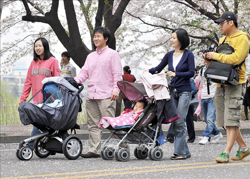  Các bố mẹ đưa con đi dạo tại Seoul, Hàn Quốc. Ảnh: AFP/TTXVN