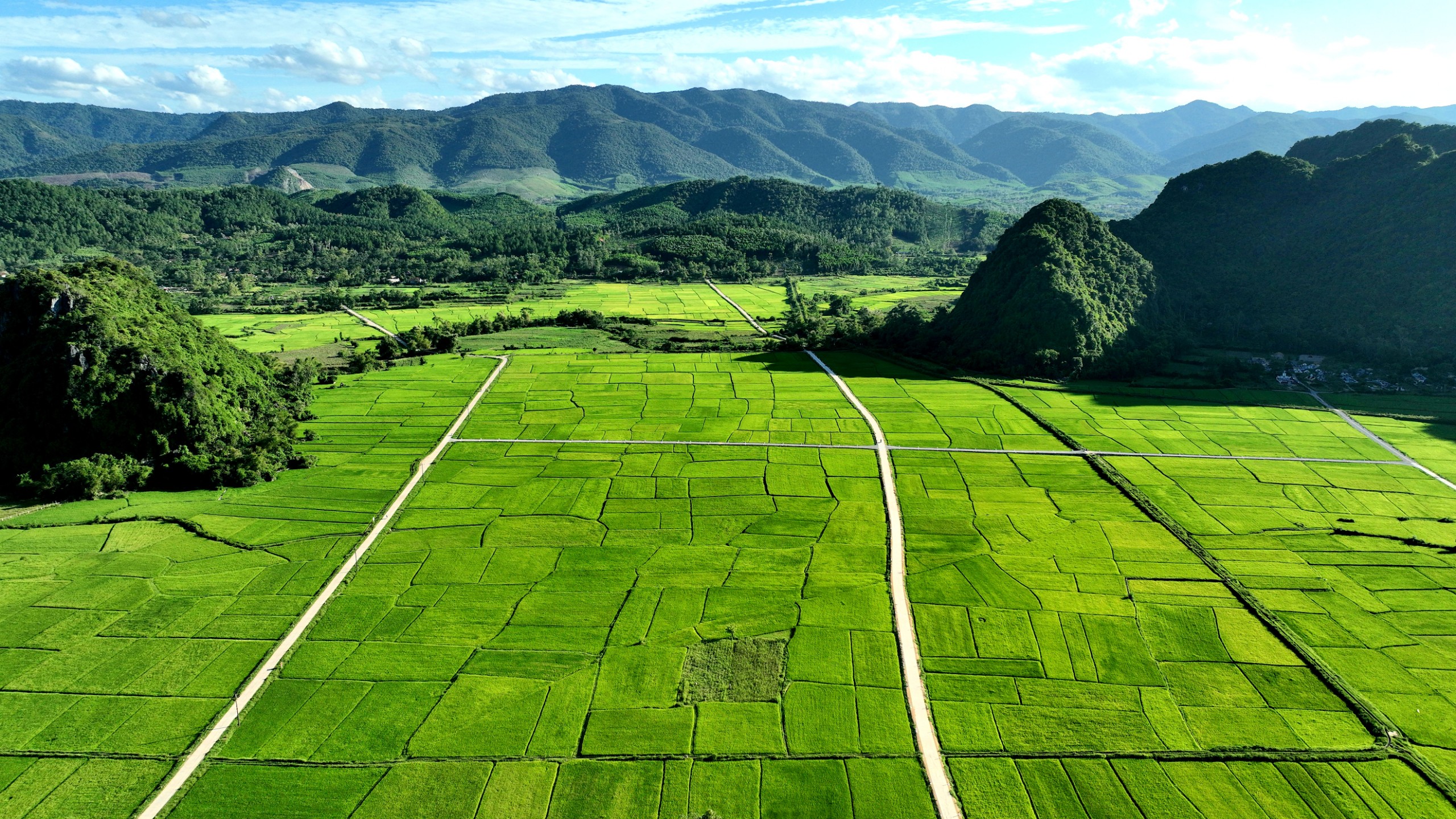 Làng quê êm đềm.