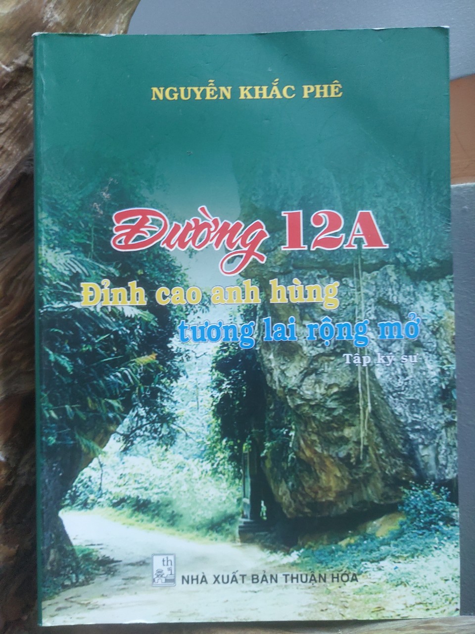 Tác phẩm Đường 12A-Đỉnh cao anh hùng tương lai rộng mở.