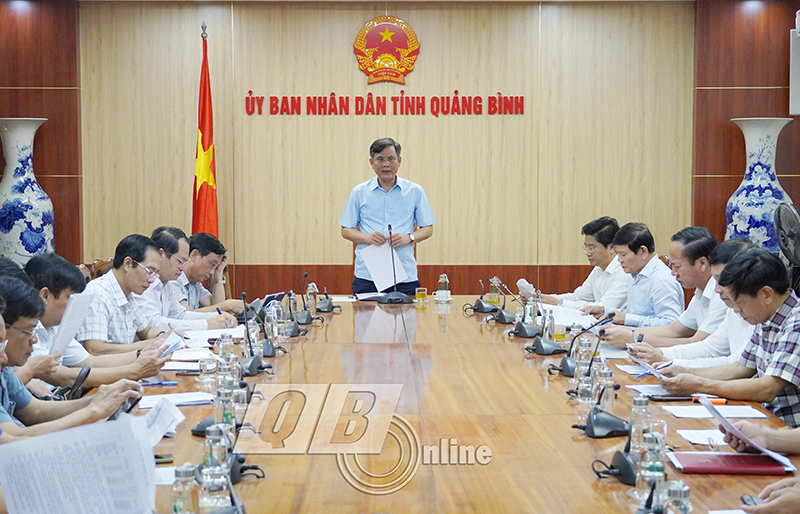 Đồng chí Chủ tịch UBND tỉnh Trần Thắng phát biểu chỉ đạo tại buổi làm việc.