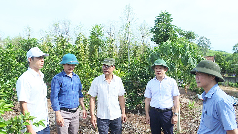 Lãnh đạo huyện Lệ Thủy kiểm tra đời sống, sản xuất của nhân dân trên địa bàn.