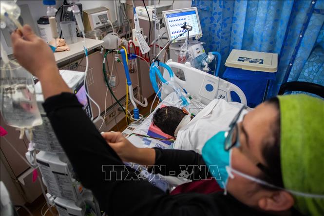 Nhân viên y tế điều trị cho bệnh nhân COVID-19 tại bệnh viện ở Tarzana, California, Mỹ. Ảnh: AFP/TTXVN