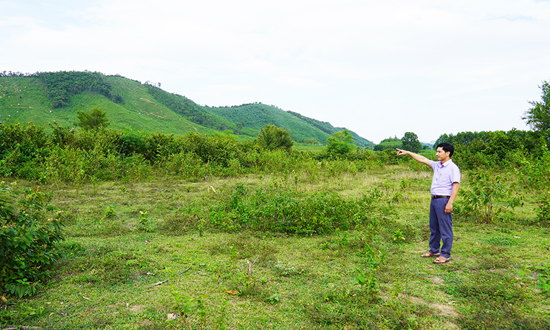 Vùng chăn nuôi tập trung của xã Đồng Hóa đã hoàn thành quy hoạch chi tiết. 