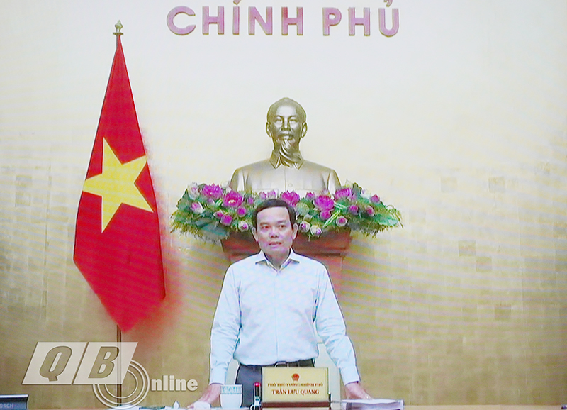 Phó Thủ tướng Chính phủ Trần Lưu Quang phát biểu chỉ đạo tại phiên họp.