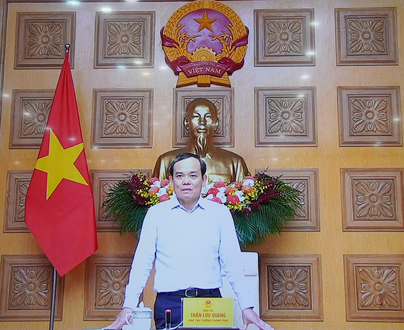  Phó Thủ tướng Chính phủ Trần Lưu Quang phát biểu kết luận hội nghị.