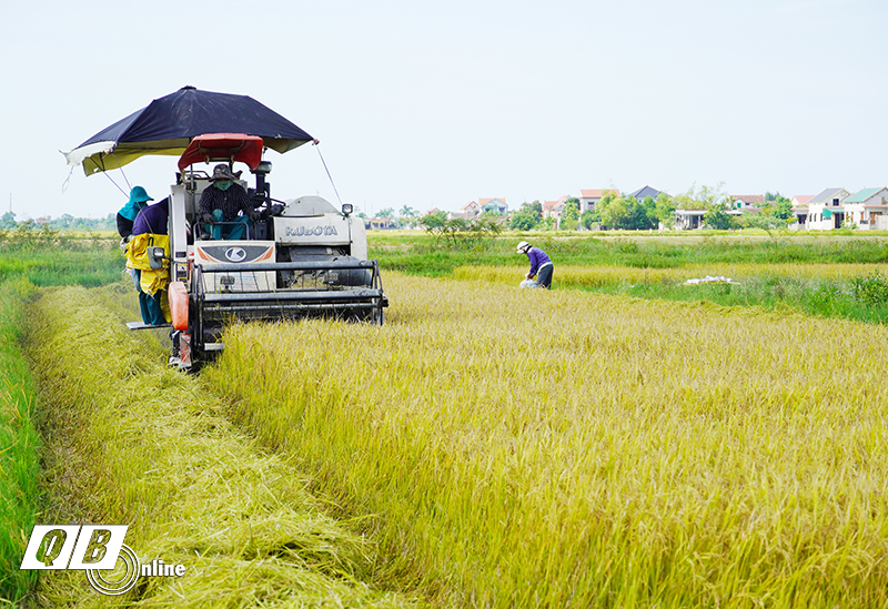 Việc xây dựng hồ sơ địa chính và cơ sở dữ liệu đất đai, nhằm phục vụ công tác quản lý nhà nước, giải quyết hồ sơ thủ tục hành chính cho người dân và doanh nghiệp.