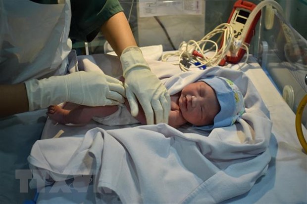 Chăm sóc trẻ sơ sinh tại bệnh viện ở Jakarta, Indonesia. (Ảnh: AFP/TTXVN)