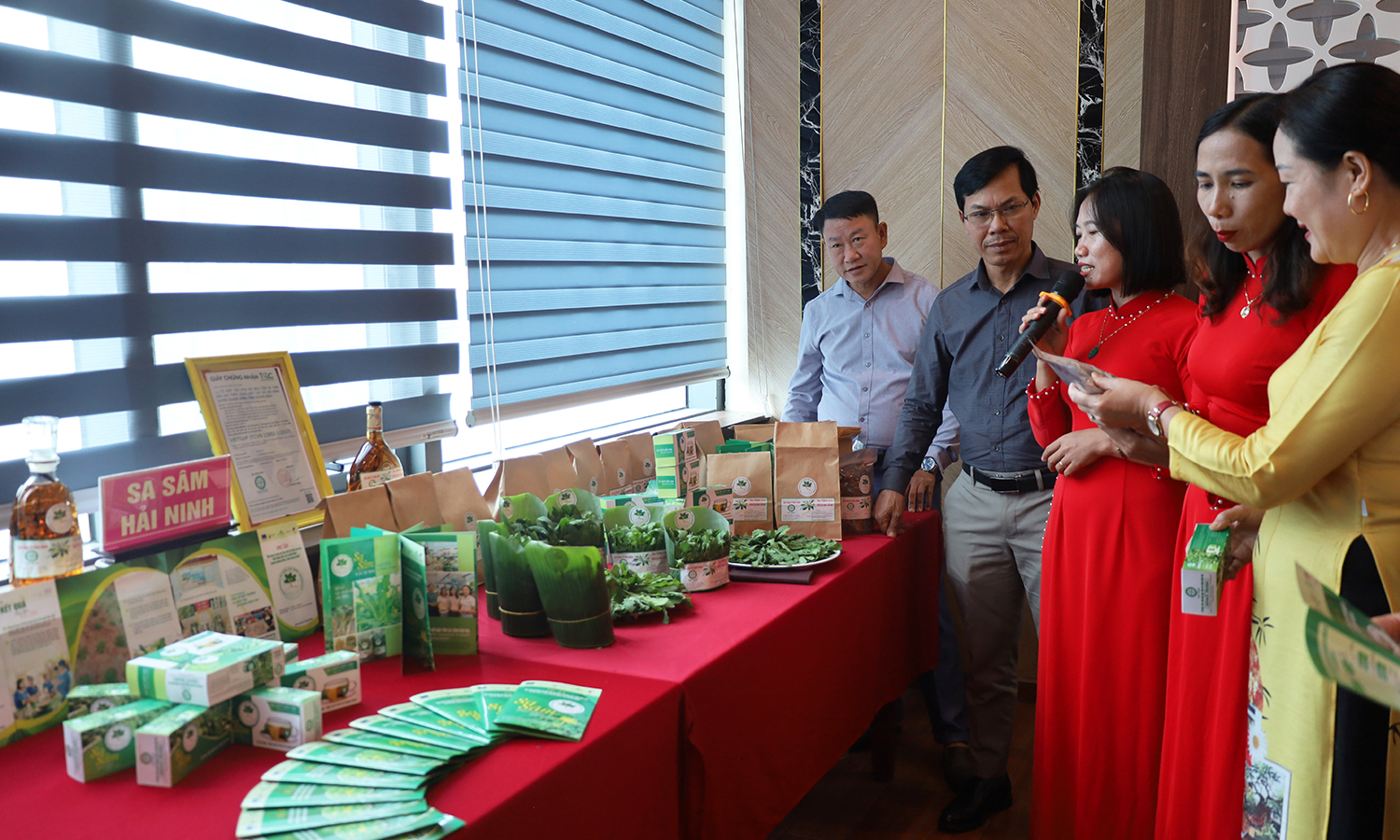 Tổng kết và giới thiệu sản phẩm dự án cây sa sâm bản địa trên vùng đất cát xã Hải Ninh