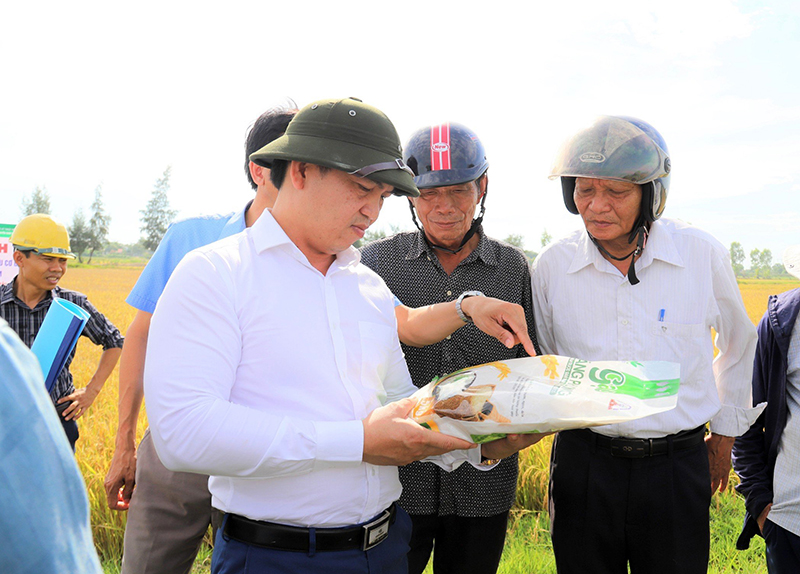 Sản phẩm gạo hữu cơ đạt tiêu chuẩn chất lượng gạo sạch, an toàn.